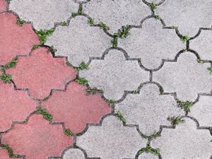 Tips Simpel Agar Paving Rumah Bebas Lumut dan Rumput Liar