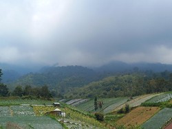 Candi Kethek: Wisata Alam yang Indah, Asri dan Tenang di Lereng Lawu