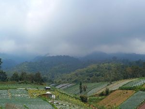 Kebakaran Gunung Lawu Terus Meluas, Helikopter Hilir Mudik Siram Air Kebakaran Gunung Lawu Terus Meluas, Helikopter Hilir Mudik Siram Air