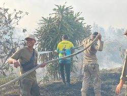 55 Hektare Lahan Dekat Kompleks Kantor Bupati Bangka Tengah Terbakar