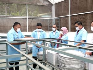 Kenali Produk Indikasi Geografis Java Preanger Tea dari Bumi Parahyangan