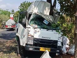 Sopir Mengantuk, Truk Boks Tabrak Pohon di Jalan Denpasar-Gilimanuk