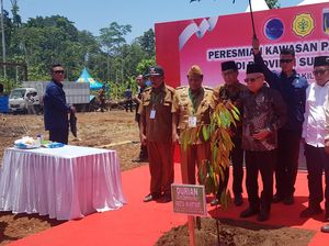 Mentan SYL Belum Balik ke RI, Maruf Nilai Program Pertanian Tak Terganggu Mentan SYL Belum Balik ke RI, Maruf Nilai Program Pertanian Tak Terganggu