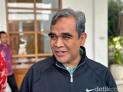 Gerindra Ungkap Prabowo Perlu Waktu soal Cagub Jakarta, Jabar dan Jateng