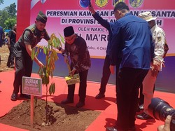 Maruf Resmikan Kawasan Pangan di Sulteng, Harap Jadi Penyangga Pangan IKN