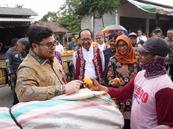 Dialog dengan Petani Mangga Podang, Mas Dhito: Jangan Dibooster