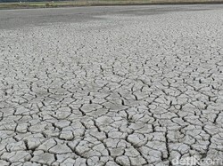 BPBD Sebut NTT Masih Siaga Darurat Kekeringan, Tak Terlalu Mengkhawatirkan