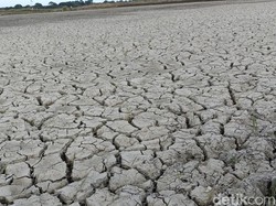 10 Kota Terpanas di Indonesia, Kupang Paling Membara!