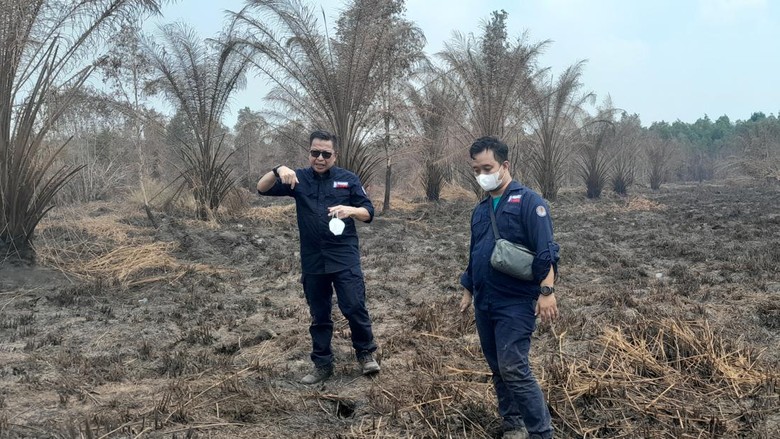 Dampak Karhutla, KLHK Gugat 22 Korporasi ke Pengadilan