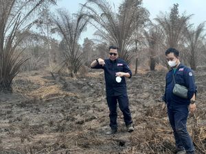 Dampak Karhutla, KLHK Gugat 22 Korporasi ke Pengadilan