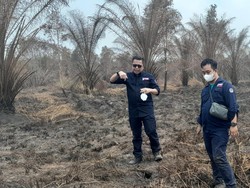 Dampak Karhutla, KLHK Gugat 22 Korporasi ke Pengadilan