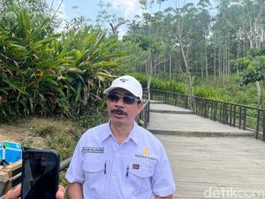 Tak Cuma Pusat Pemerintahan, IKN Juga Geber Pembangunan Wisata Tak Cuma Pusat Pemerintahan, IKN Juga Geber Pembangunan Wisata