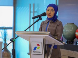 Selain CPO Pertamina Ungkap Sumber Bahan Bakar Baru: Sorgum-Mangrove