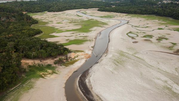 Foto-foto Udara Dampak Kekeringan di Brasil