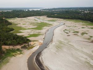 Foto-foto Udara Dampak Kekeringan di Brasil