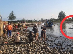 Ikan Hiu Paus 6 Meter Tersangkut Jaring Nelayan di Pantai Bringin Jepara