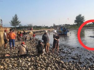 Ikan Hiu Paus 6 Meter Tersangkut Jaring Nelayan di Pantai Bringin Jepara Ikan Hiu Paus 6 Meter Tersangkut Jaring Nelayan di Pantai Bringin Jepara