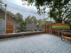 Gemes! Bayi Tapir Brazil Lahir di Batu Secret Zoo