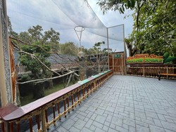 Batu Secret Zoo Hadirkan Wahana Baru Bertema South American, Datang Yuk!