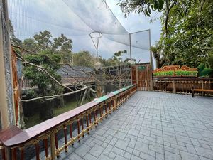 Batu Secret Zoo Hadirkan Wahana Baru Bertema South American, Datang Yuk! Batu Secret Zoo Hadirkan Wahana Baru Bertema South American, Datang Yuk!