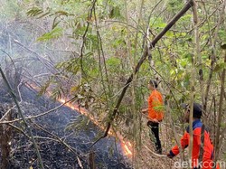 2 Hektare Hutan di Ngantru Trenggalek Hangus Terbakar