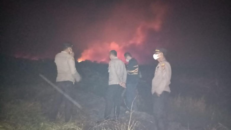 10 Pembakar Lahan Diamankan di Jambi Sepanjang 2023