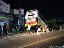 Bus Bangau Mas Tabrak Pohon Lalu Masuk Parit Sedalam 3 Meter di Bojonegoro