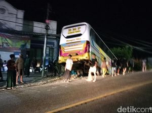 Bus Bangau Mas Tabrak Pohon Lalu Masuk Parit Sedalam 3 Meter di Bojonegoro Bus Bangau Mas Tabrak Pohon Lalu Masuk Parit Sedalam 3 Meter di Bojonegoro