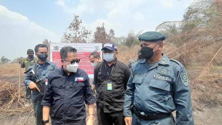 Dampak Karhutla di Kabupaten OKI, KLHK Segel Lahan Sawit Milik PT SA