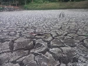 Wanti-wanti Mendagri Masalah Pangan Saat Puncak El Nino Wanti-wanti Mendagri Masalah Pangan Saat Puncak El Nino