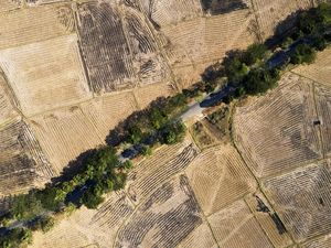 Soal Fenomena Peningkatan Suhu Air Laut, Ahli Sebut El Nino Menyimpan Fakta Ini