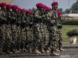 Ini Perbedaan Tamtama, Bintara, dan Perwira dalam Kepangkatan TNI