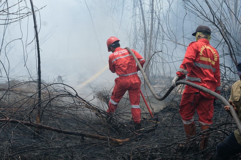 Pertamina Turunkan 206 Personel Bantu Atasi Karhutla di Sumsel