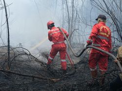 Pertamina Turunkan 206 Personel Bantu Atasi Karhutla di Sumsel