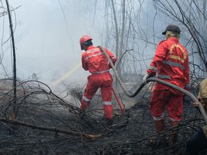 Pertamina Turunkan 206 Personel Bantu Atasi Karhutla di Sumsel