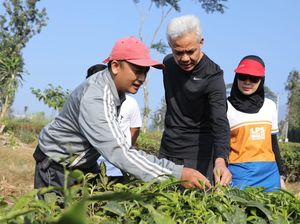 Olahraga Bareng, Ganjar & Istri Berbincang dengan Petani Teh di Cianjur