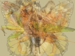 Gambar Pertama yang Kamu Lihat Menggambarkan Kepribadianmu, Berani Coba?