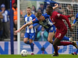 10 Fakta Brighton Vs Liverpool