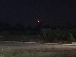 Hutan Gunung Argopuro yang Terbakar Kawasan BKSDA