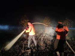 3.436 Titik Karhutla Periode Januari-Oktober, 9.769 Hektare Lahan Terbakar