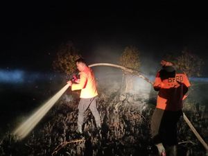 3.436 Titik Karhutla Periode Januari-Oktober, 9.769 Hektare Lahan Terbakar