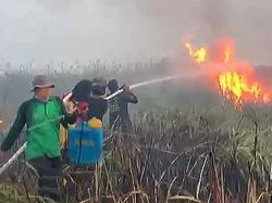 Polisi Kantongi Identitas Pemburu Liar Pembakar TN Way Kambas