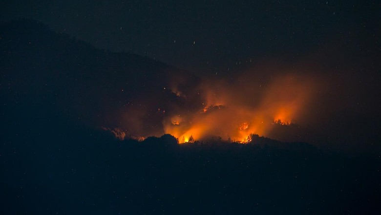Kebakaran Gunung Lawu Nyaris sampai ke Puncak Hargo Dalem