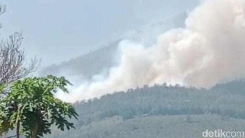Kebakaran Gunung Lawu Belum Padam, Warga Dimbau Salat Minta Hujan