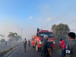 Penyebab Kebakaran Lahan di Dekat Kantor Bupati Bangka Tengah Belum Padam