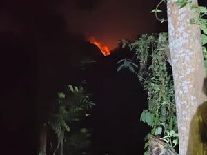 Lereng Argopuro yang Terbakar Hutan Cemara dan Dipenuhi Alang-alang Lereng Argopuro yang Terbakar Hutan Cemara dan Dipenuhi Alang-alang