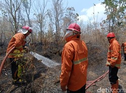 Kebakaran Bukit Menoreh Kalibawang Diduga gegara Faktor Alam