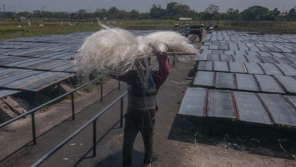 Melihat Sentra Produksi Mi Soun di Klaten, Begini Toh Rupanya