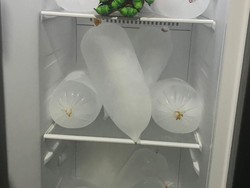 Pedagang Es Batu Cuan di Tengah Panasnya Jakarta, Sampai Beli Kulkas Baru