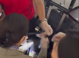 Penumpang Sepesawat Heboh gegara Muncul Banyak Hewan Misterius